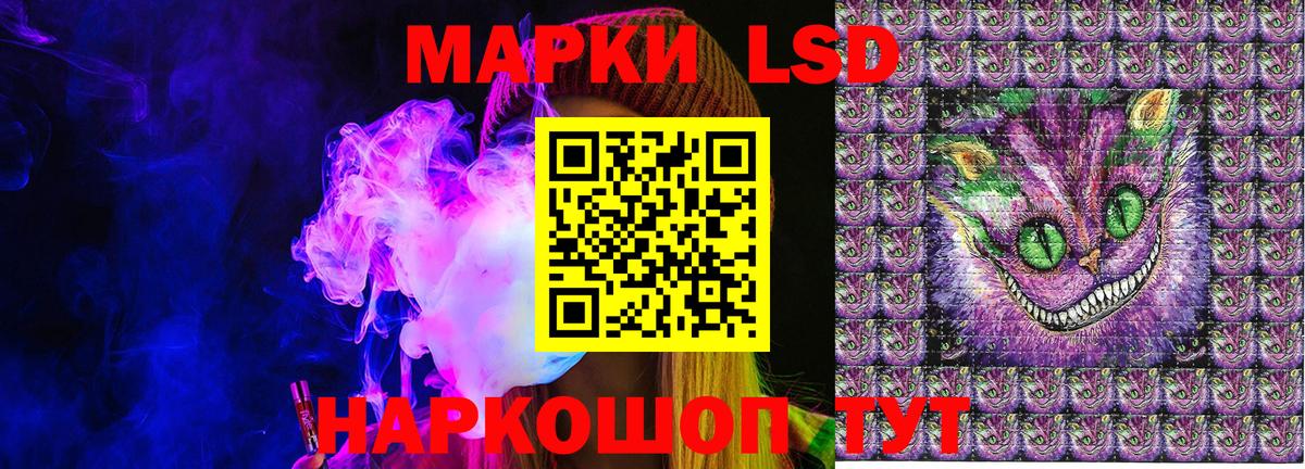 Наркотические марки 1500мкг  Наркотические марки 1500мкг  Вход с VPN  Белая Калитва 