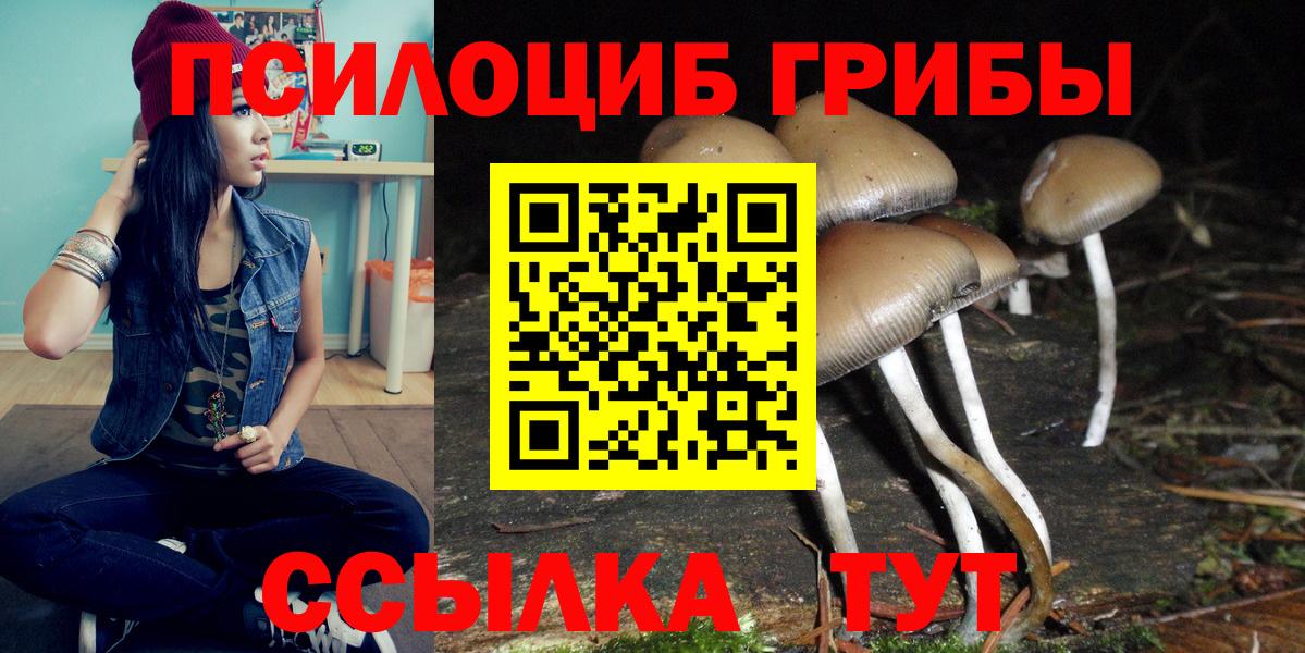 Галлюциногенные грибы MAGIC MUSHROOMS Белая Калитва